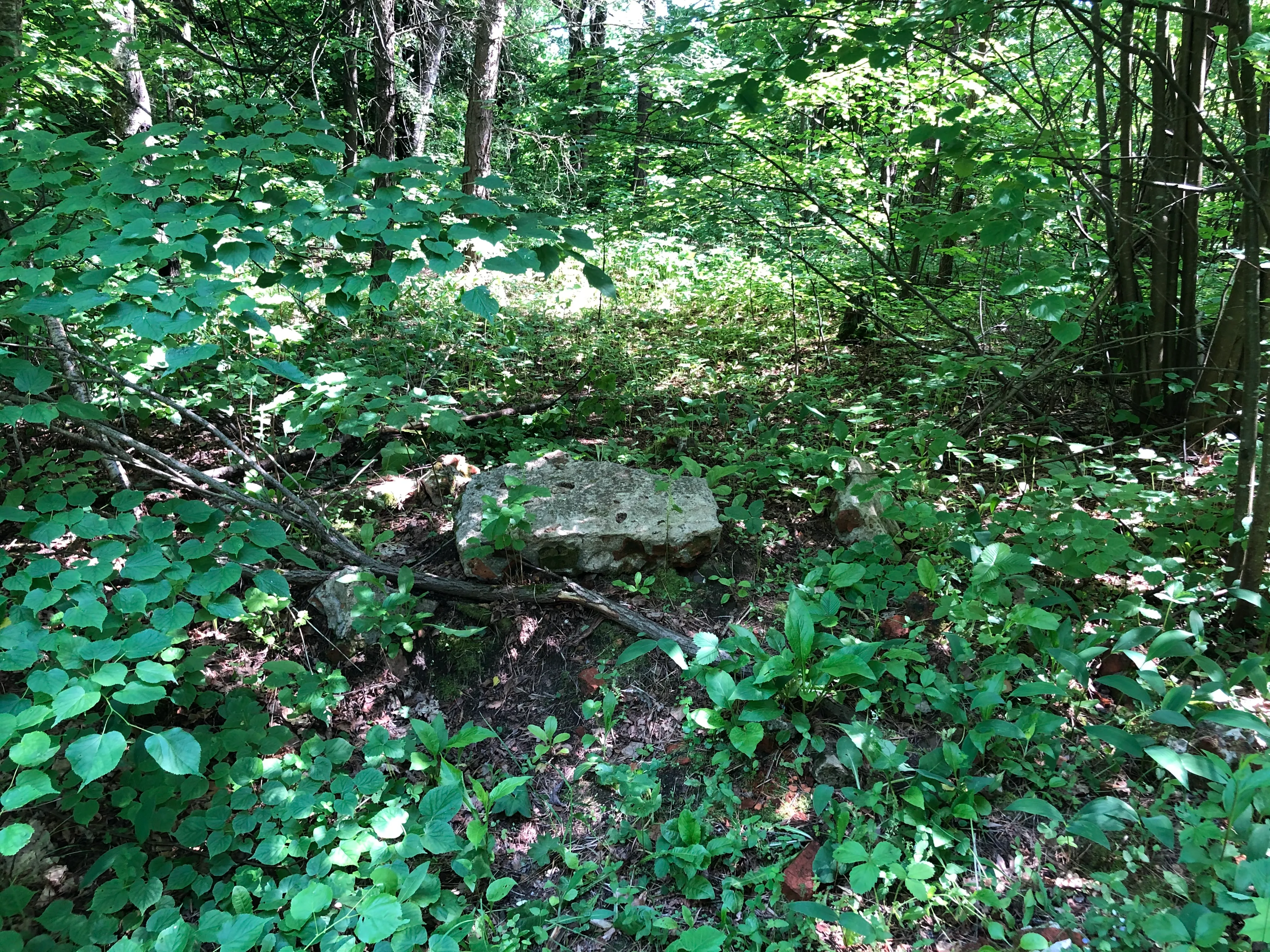 Недвижимое имущество, продается единым лотом, расположенное по адресу: Московская обл., Серпуховский р-н