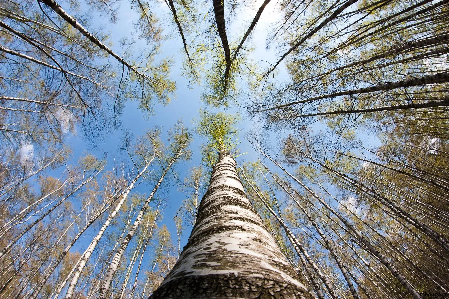 Недвижимое имущество, продается единым лотом, расположенное по адресу: Московская обл., Серпуховский р-н