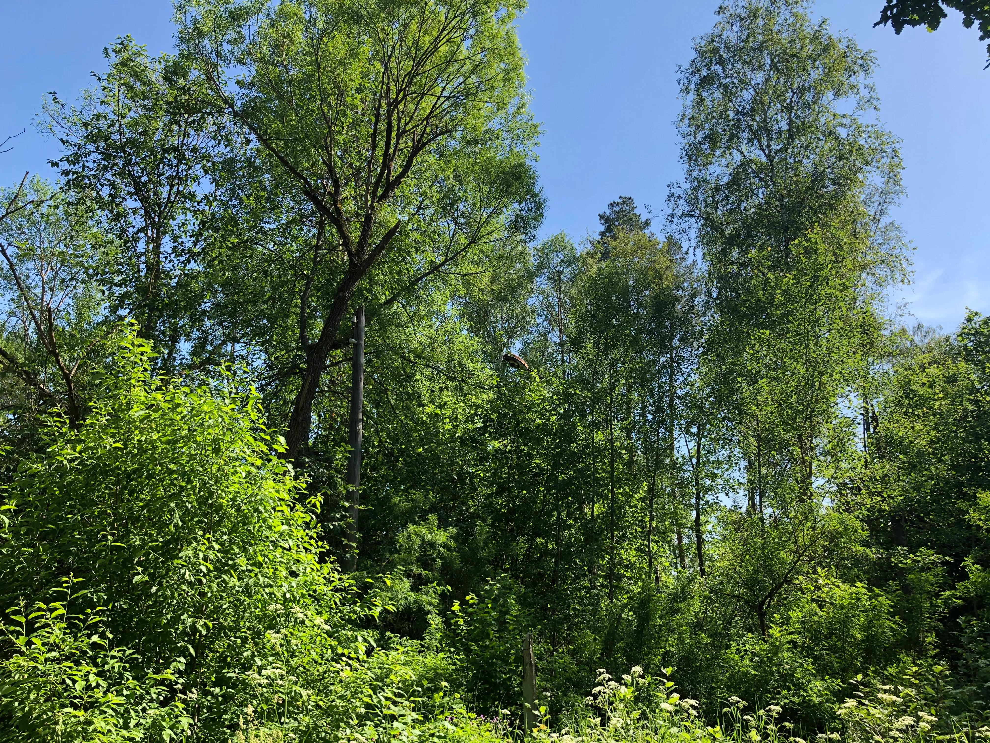 Недвижимое имущество, продается единым лотом, расположенное по адресу: Московская обл., Серпуховский р-н