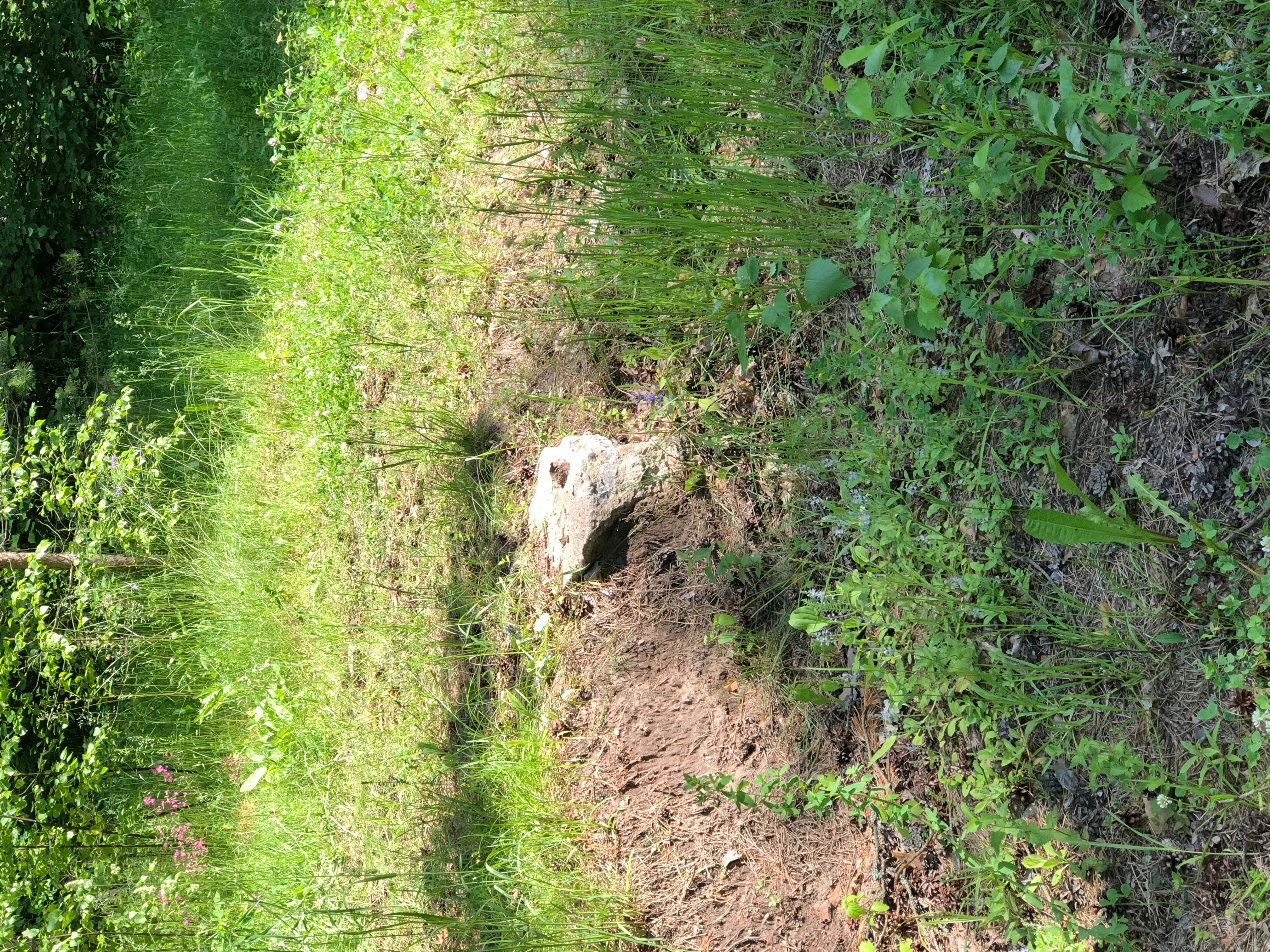 Недвижимое имущество, продается единым лотом, расположенное по адресу: Московская обл., Серпуховский р-н