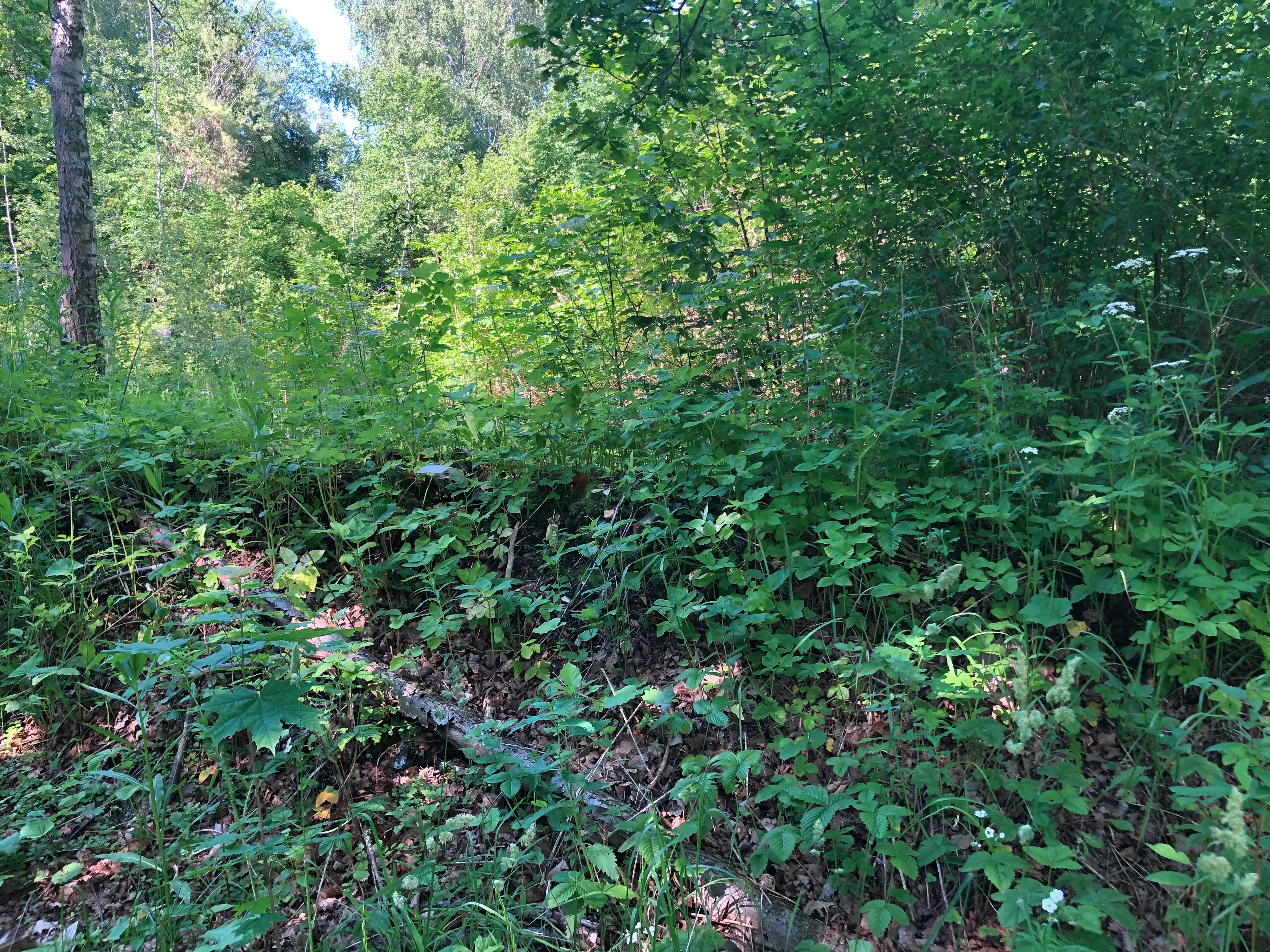 Недвижимое имущество, продается единым лотом, расположенное по адресу: Московская обл., Серпуховский р-н