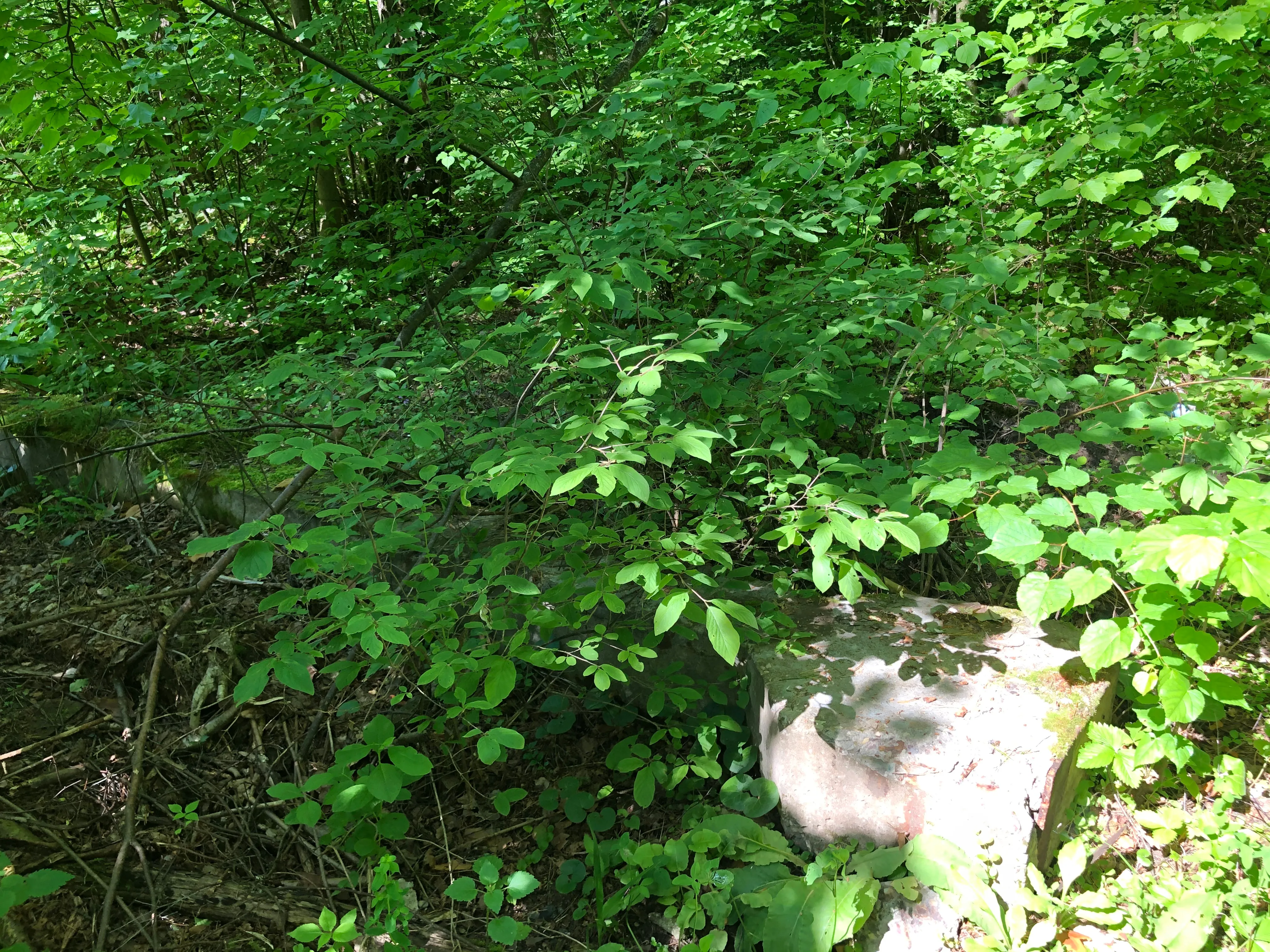 Недвижимое имущество, продается единым лотом, расположенное по адресу: Московская обл., Серпуховский р-н