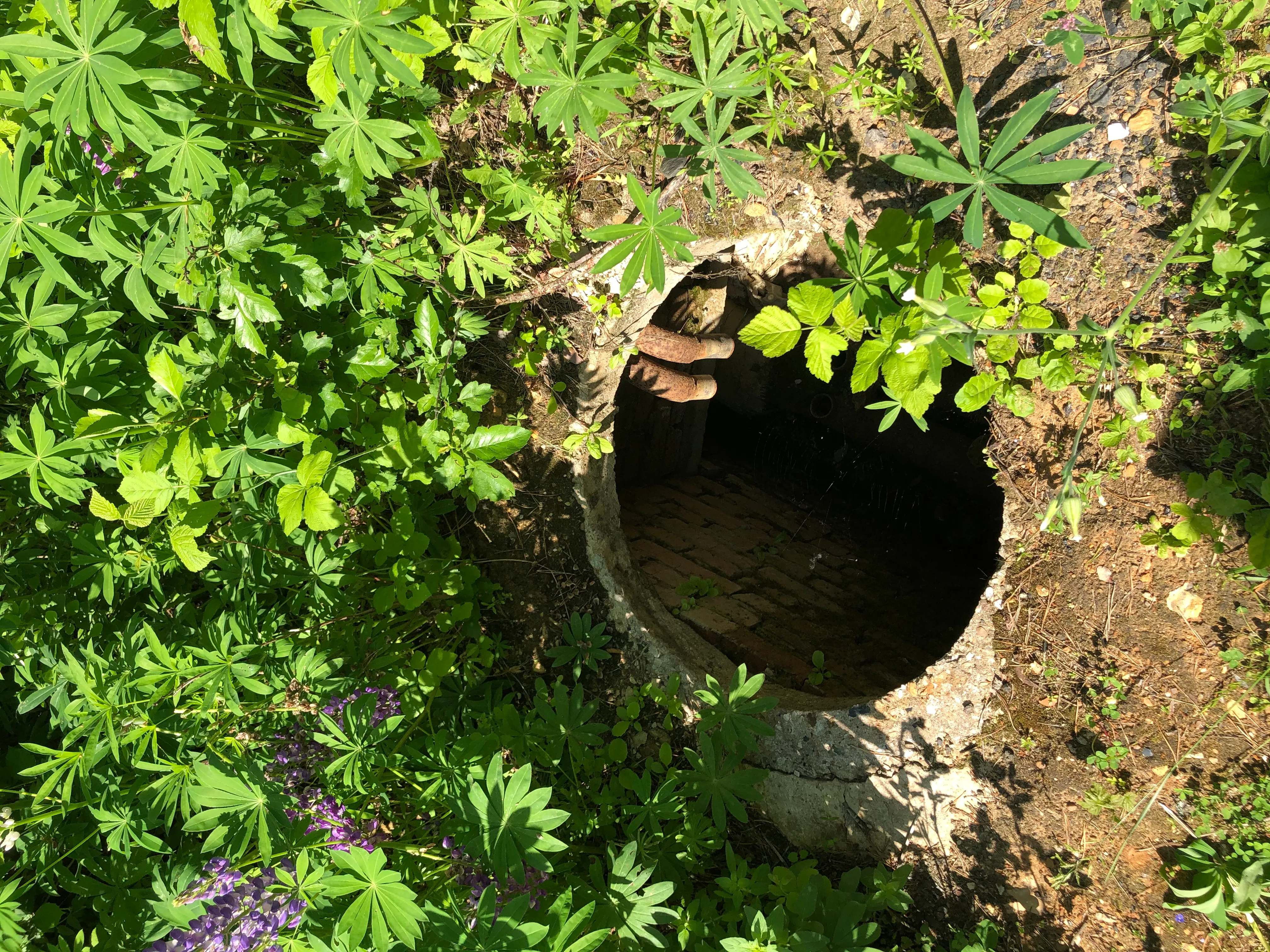 Недвижимое имущество, продается единым лотом, расположенное по адресу: Московская обл., Серпуховский р-н