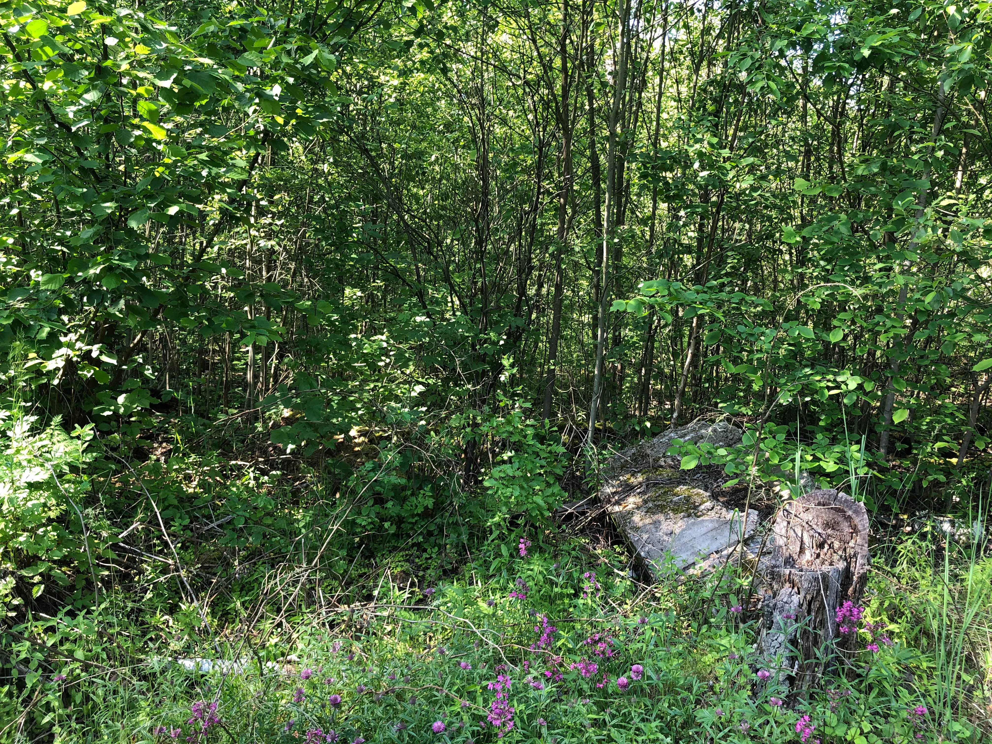 Недвижимое имущество, продается единым лотом, расположенное по адресу: Московская обл., Серпуховский р-н