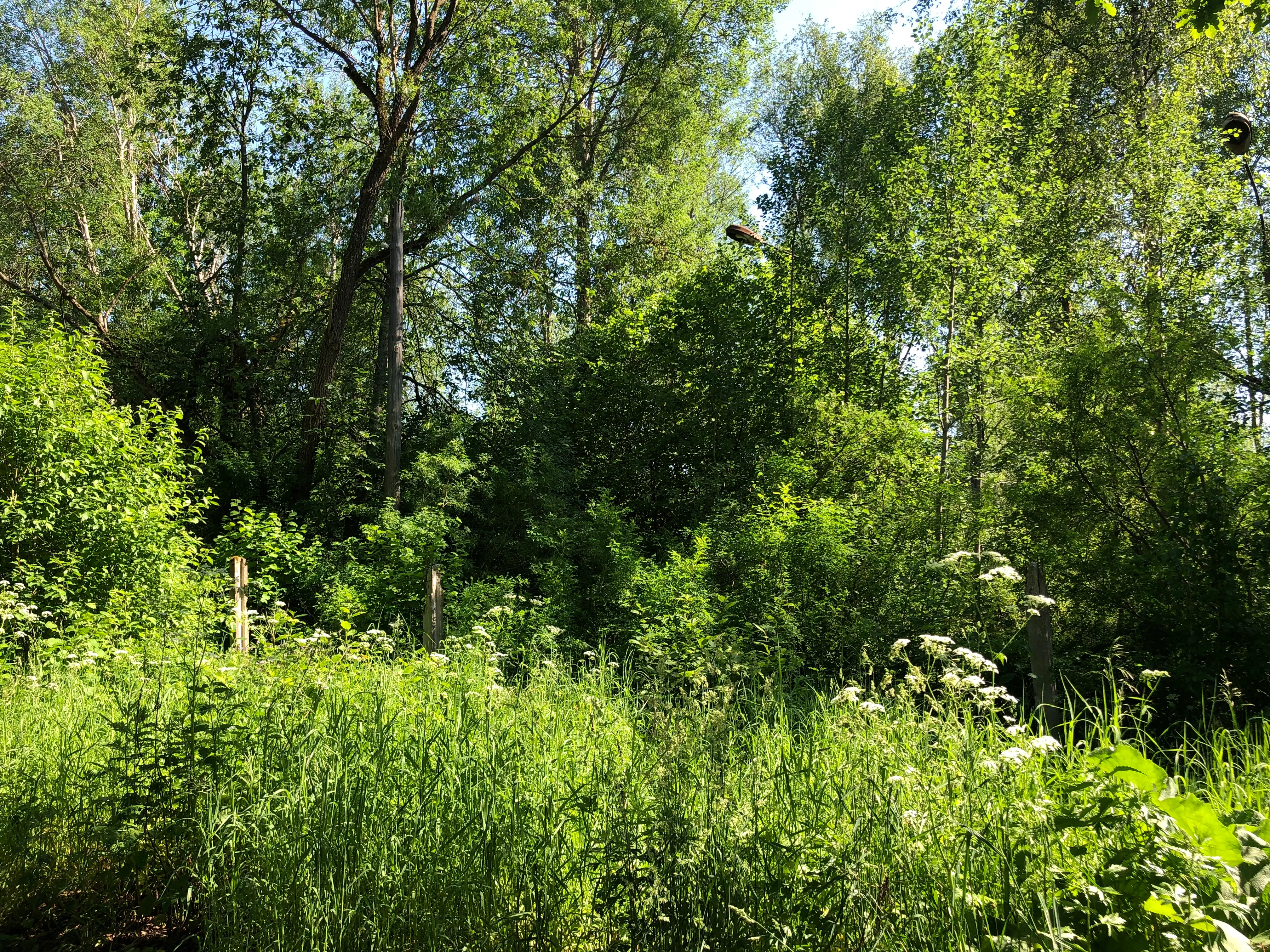 Недвижимое имущество, продается единым лотом, расположенное по адресу: Московская обл., Серпуховский р-н